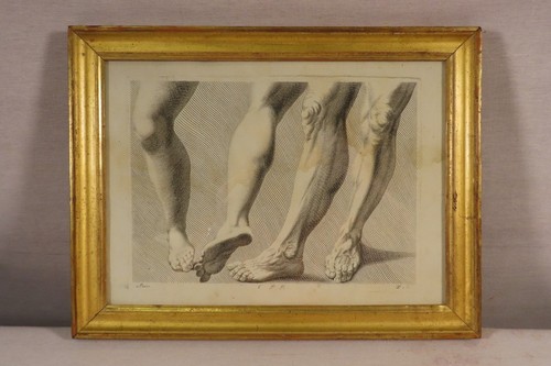 Ancienne gravure anatomique - ancienne,