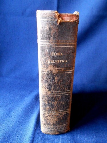 Synopsis florae helvetica - synopsis,