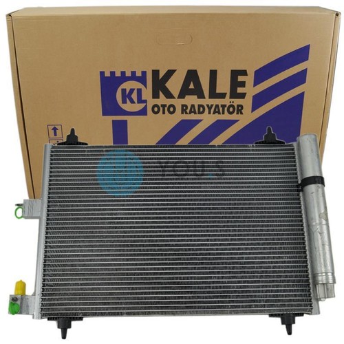 Kale condenseur air - kale, pour