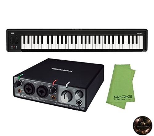 Roland audio interface rubix22 - interface,
