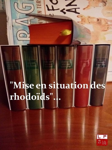 Pléiade rhodoïd fins - pléiade, 10