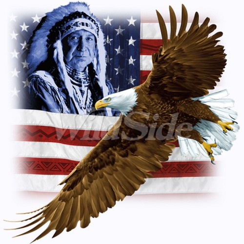 Indian flag eagle t - &,