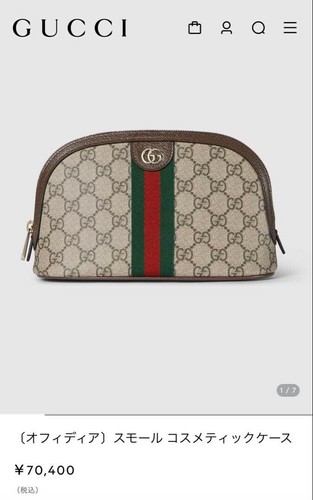 Gucci ophidia supreme - ophidia, web