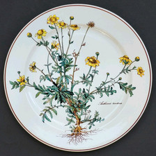 Sublime GRANDE ASSIETTE