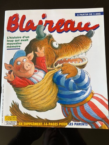 Blaireau 6 1996 - du,