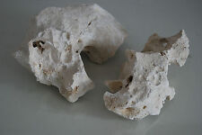 Aquarium Naturel Corail Cichlidés Rock 2 Pièces Pour Tout Utilisation BA11