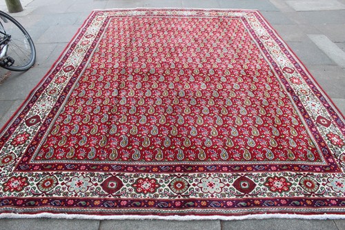 Tapis oriental laine rouge - en,