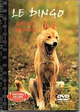 Le Dingo - Ami ou ennemi ?"