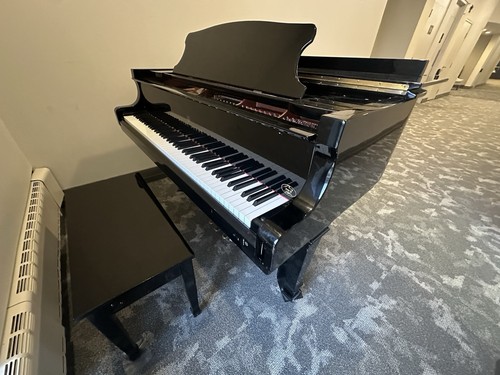 Young chang 157 pramberger - pg-157,
