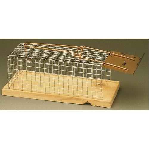 Detia cage rats piège - piège, À
