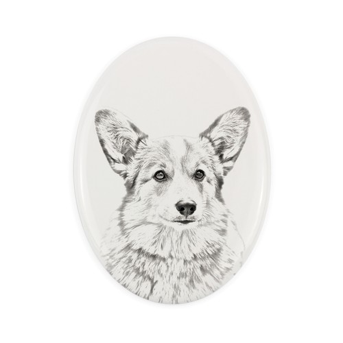 Pembroke welsh corgi une - corgi,