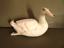Canard en