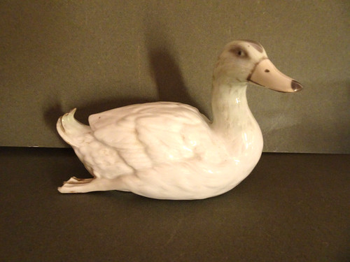 Canard - , en