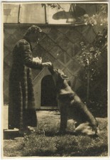 PHOTO ANCIENNE - VINTAGE SNAPSHOT - ANIMAL CHIEN BERGER ALLEMAND - DOG 3