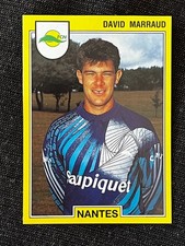 Vignette sticker panini - panini, foot