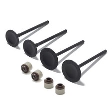 Soupapes d'échappement et