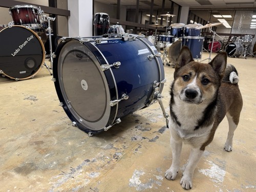 Mapex saturn bass drum - mapex,