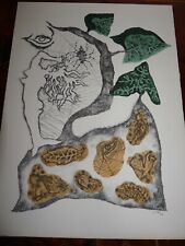 Rare Lithographie Originale de