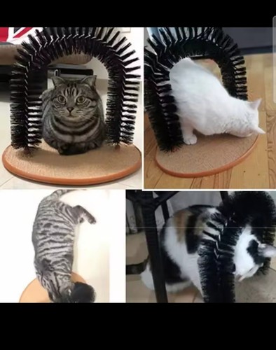 Jeu pour chat - jeu,