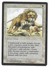 ►Magic-Style◄ MTG - Savannah Lions - Italian Revised FBB - Good/Played
