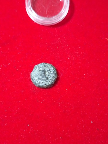 Sénons bronze yllycci - sénons,, à