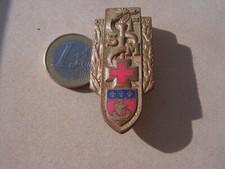 insigne  1° section