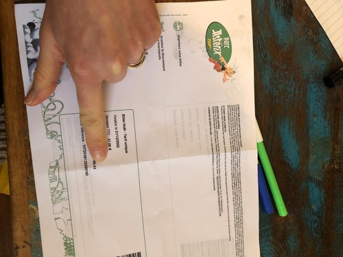 Billets parc astérix - billets, pour