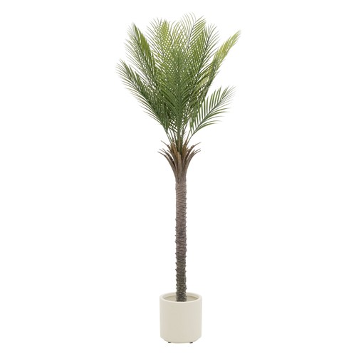 Palmier artificiel plante
