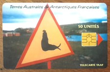 TAAF ÉLÉPHANT DE MER