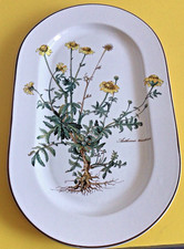 Plat Villeroy & Boch  Botanica