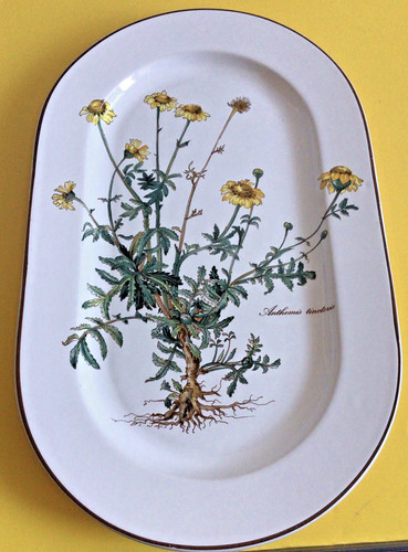 Plat villeroy boch botanica - villeroy,