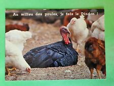 Carte Postale du Cantal (15) GF 1985 Au milieu des poules et le dindon
