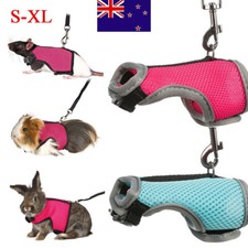 Ensemble Harnais Et Laisse Pour Animal De Compagnie Chat Chien Lapin Gilet /