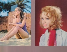 Geneviève GRAD 2 PHOTOGRAPHIES SUR CARTES 15*10