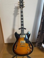 Electric Guitar Ibanez