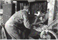 CPM 56 - ST YVES-BUBRY (Morbihan) - Presse à cidre Guyonvarch. Mise en place