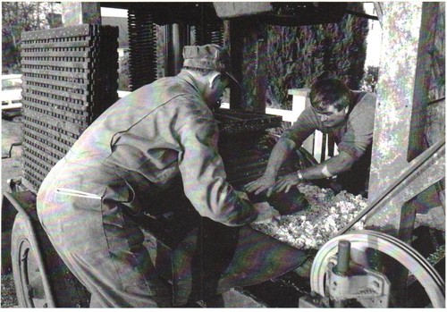 Cpm st yves - 56, yves-bubry
