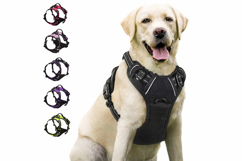 Harnais chien anti - chien, anti-tirage