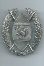 A identifier: Insigne Afrique