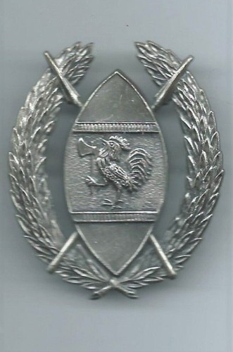 Identifier insigne afrique - a, identifier: