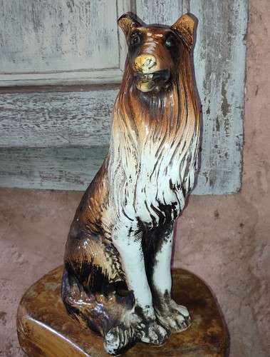 Chien colley assis - chien, en