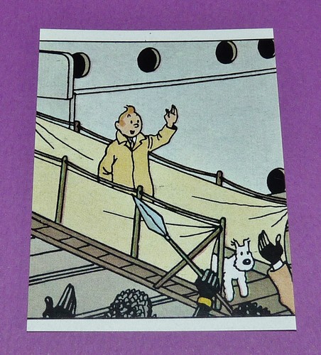 Panini tintin herge - panini,