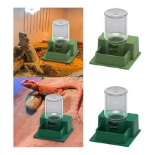 Distributeur d'eau automatique pour tortues, décoration d'habitat,