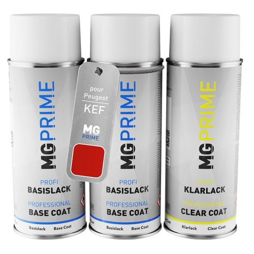 Peinture voiture kit bombe