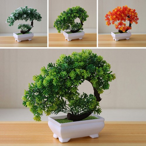Bonsaï plante artificielle - plante,