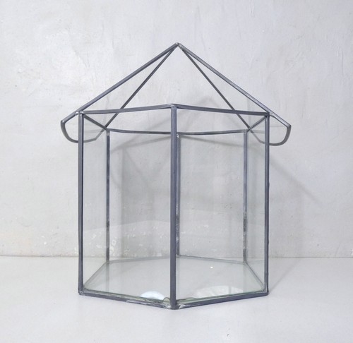 Verrière terrarium mini serre - terrarium,