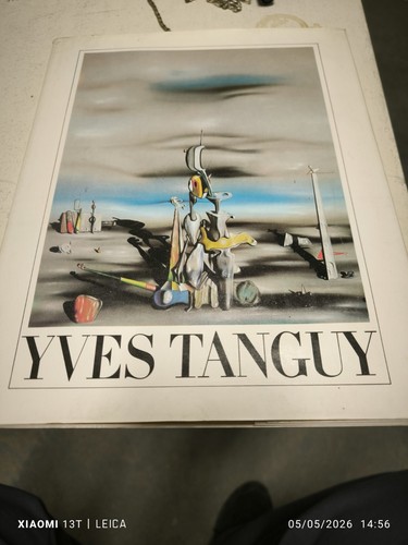 Livre yves tanguy - livre, année