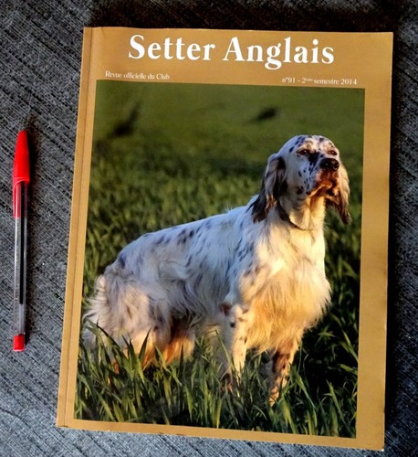 Livre setter anglais - le,