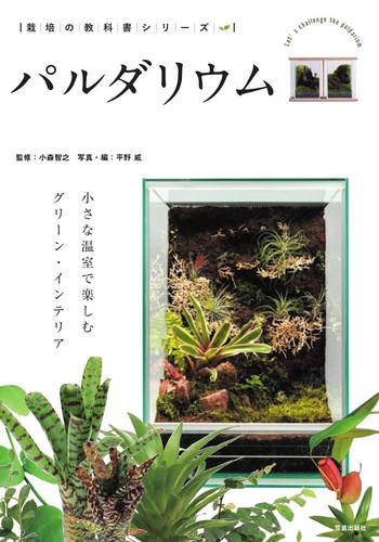Paludarium vert intérieur - paludarium,