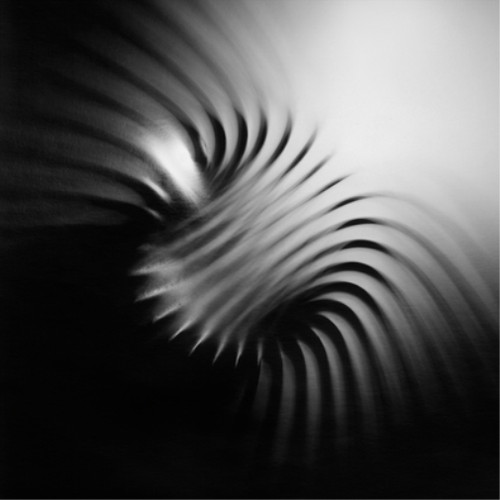 Arash moori heterodyne - arash,